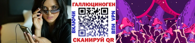 Псилоцибиновые грибы Psilocybe  Купить закладки  Дмитров 